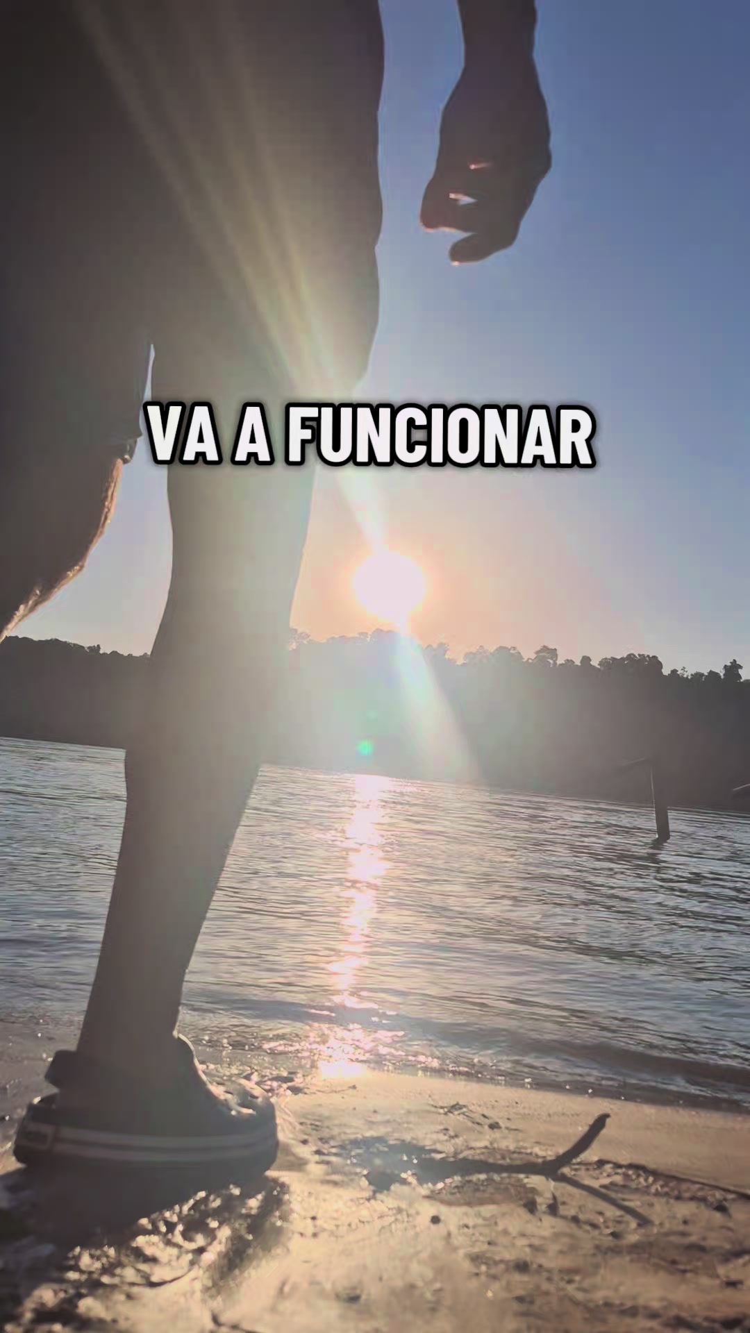 @Diego y sus michis