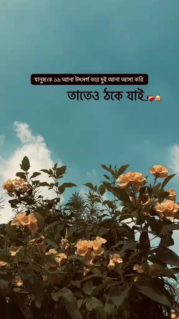 @Mr.CoolVibes