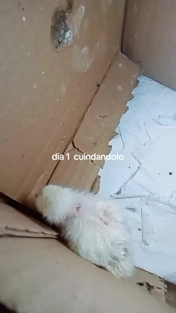 @Luis Ceballos