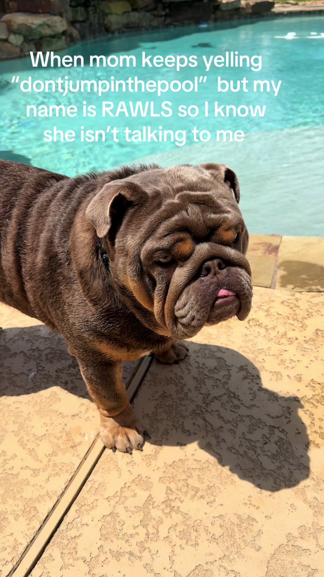 @RawlsTheBulldog