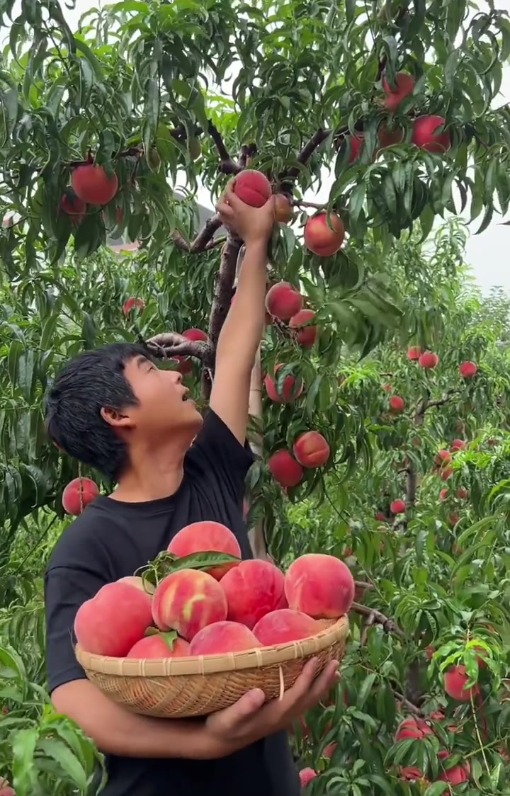 @Caygiong4mien