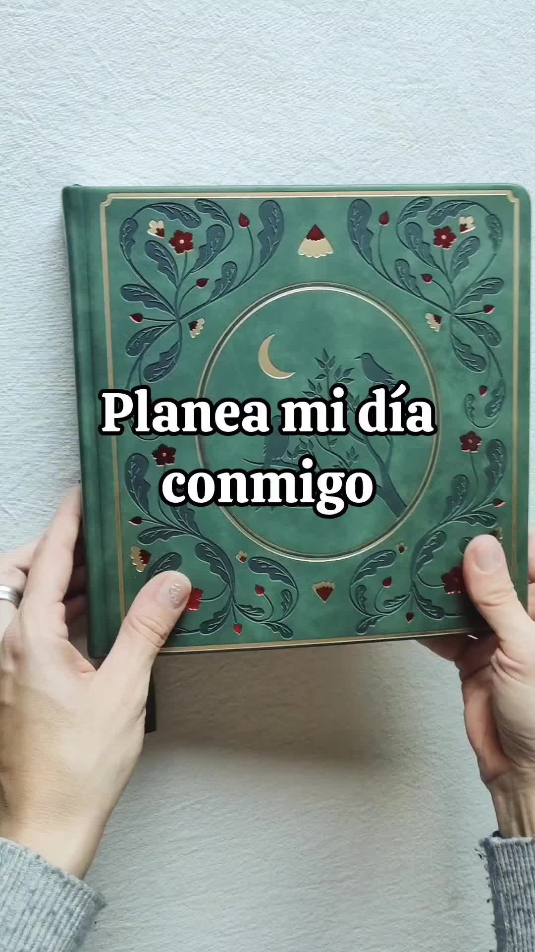 @los tips de Luci 📓