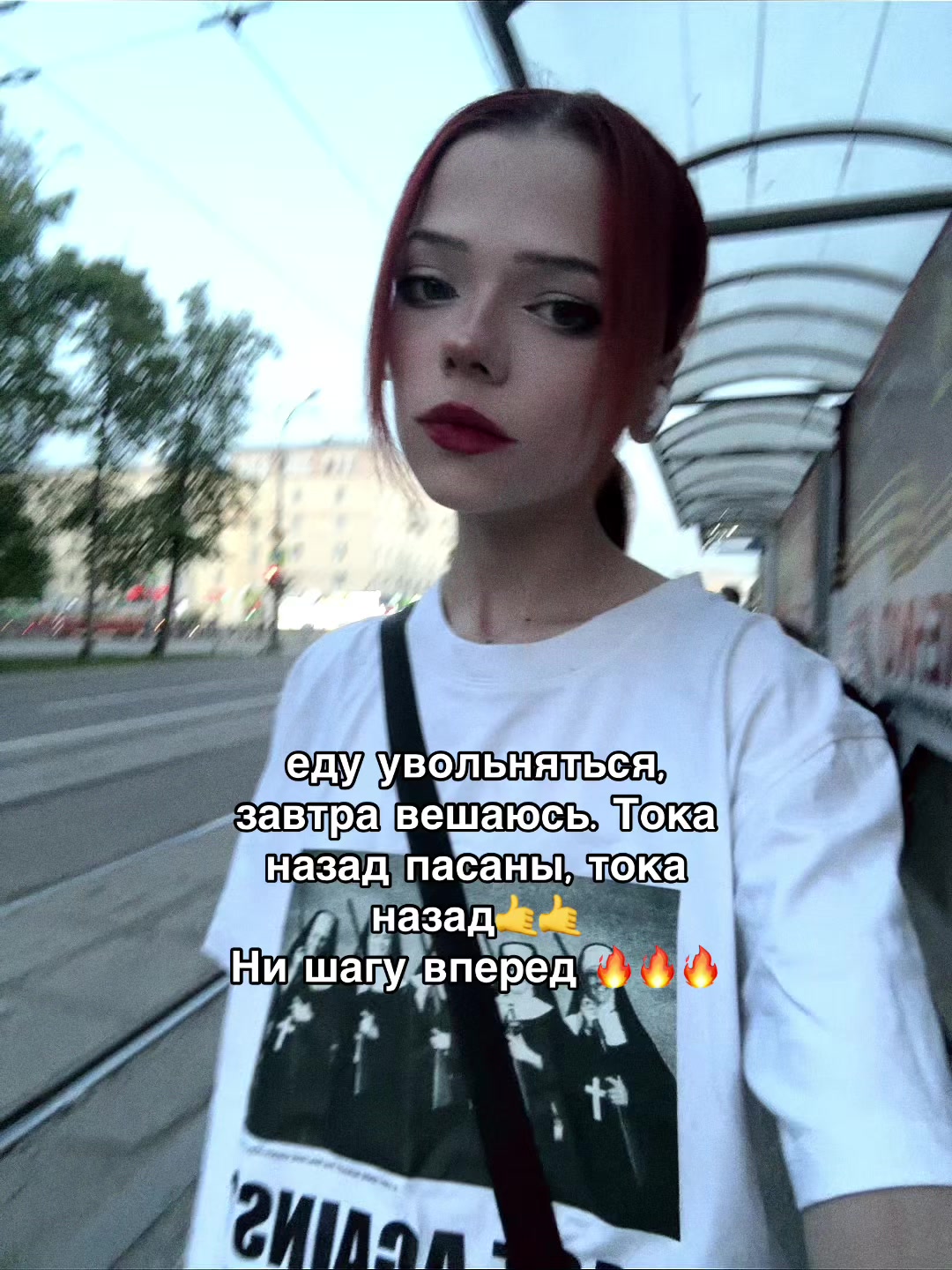 @чихуахуа