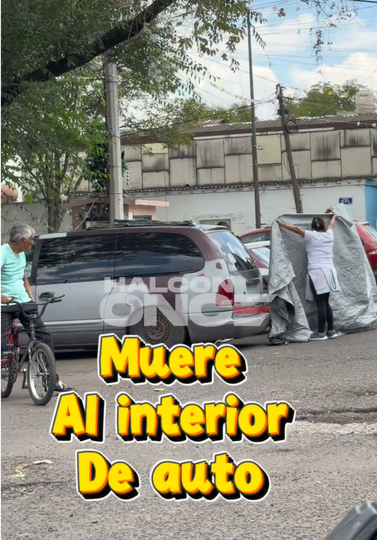 @HalconOnce