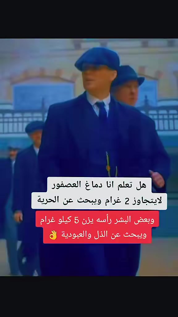 @ناصر بوجدارية