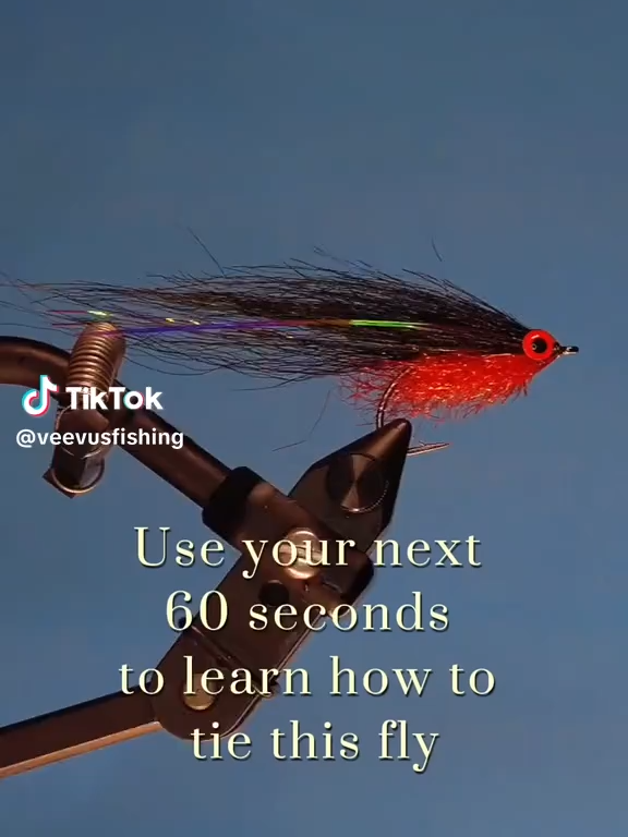 @veevusFishing