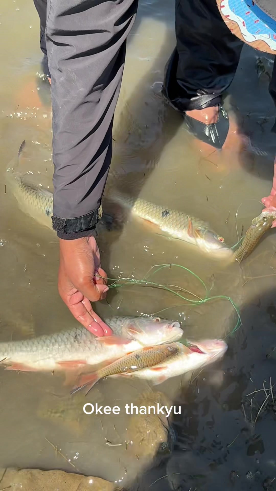 @unclemancing