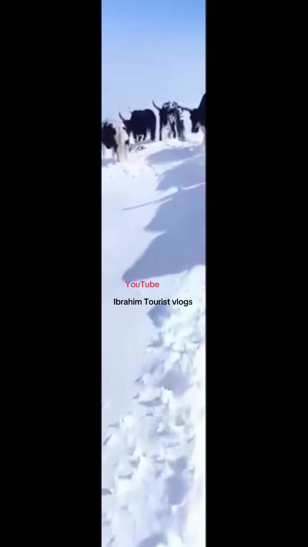 @Ibrahim tourist vlogs