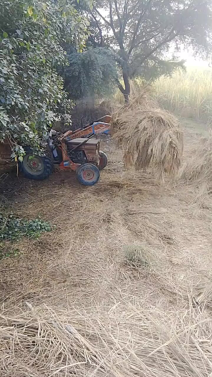 @🥷ملک شہزاد جبوجھ 🥷