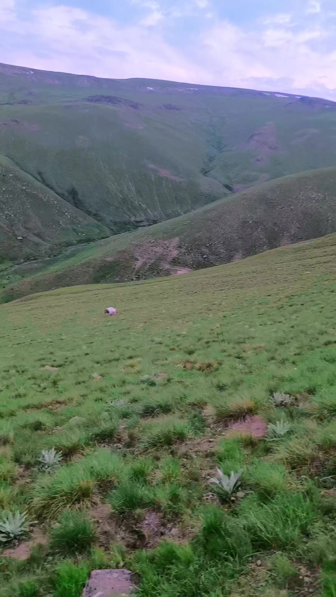 @Ömersarıçiçek21