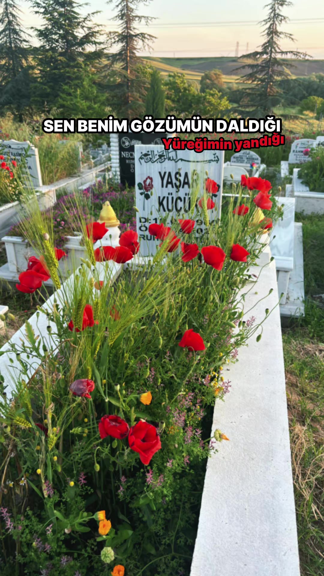 @🧕Emek D&uuml;nyam🧕