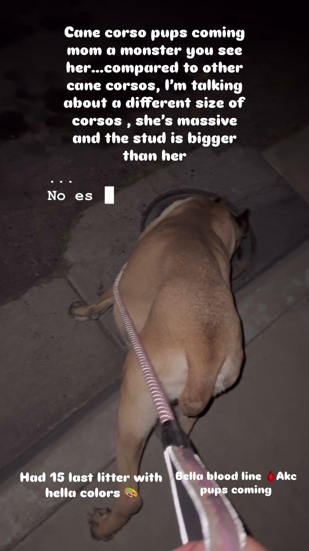 @isaac_investments