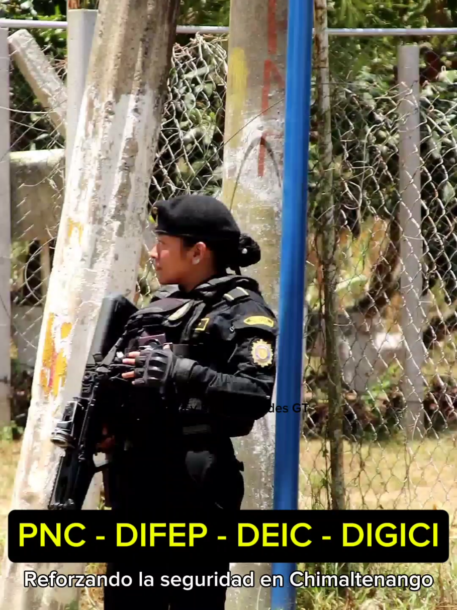 @Rafael Junior