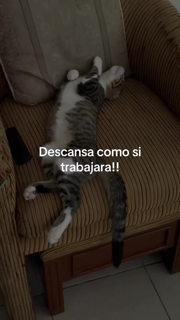 @Vane Vazquez