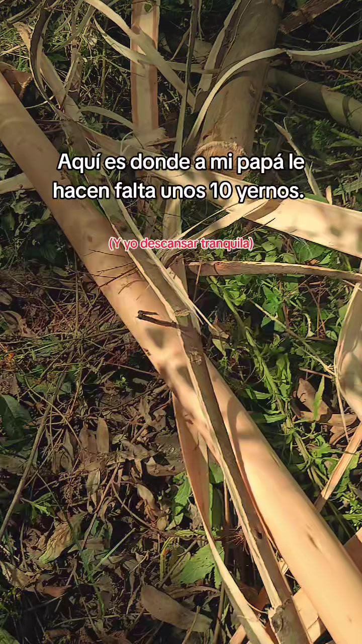 @LEYDI AGUIRRE