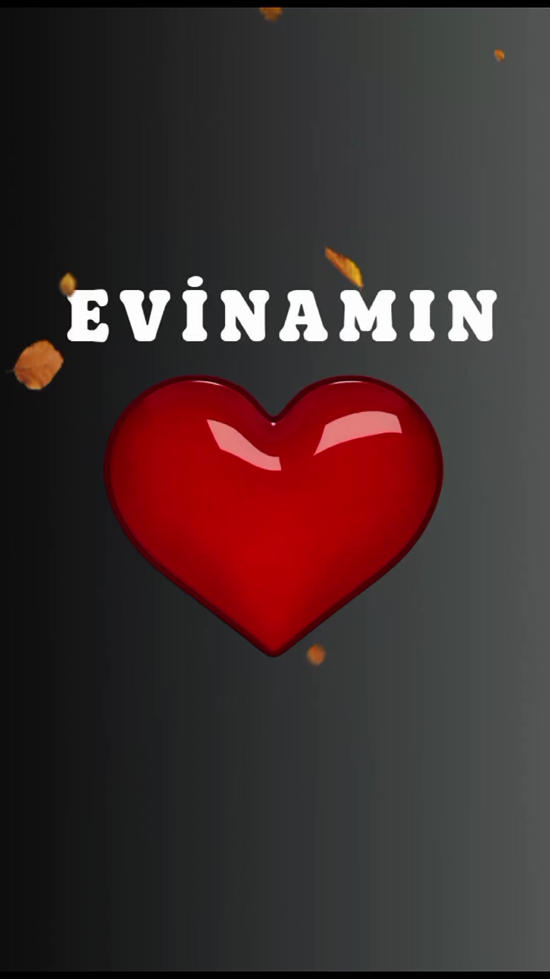 @SHOW İS NAME