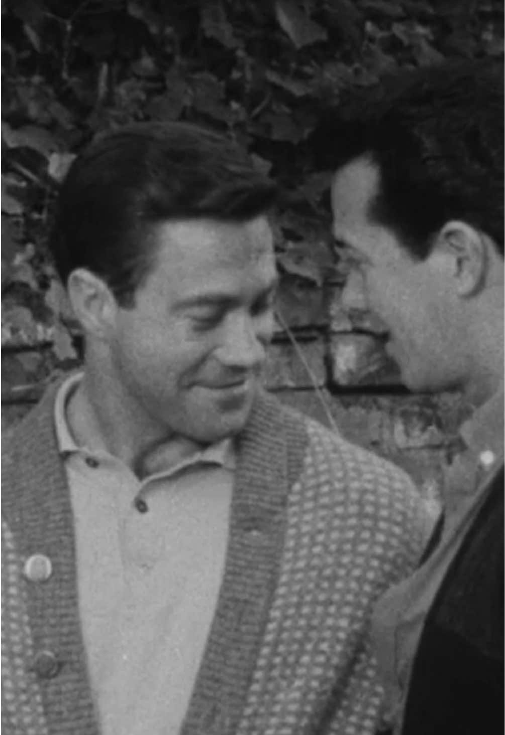 @queer-cinema-archive