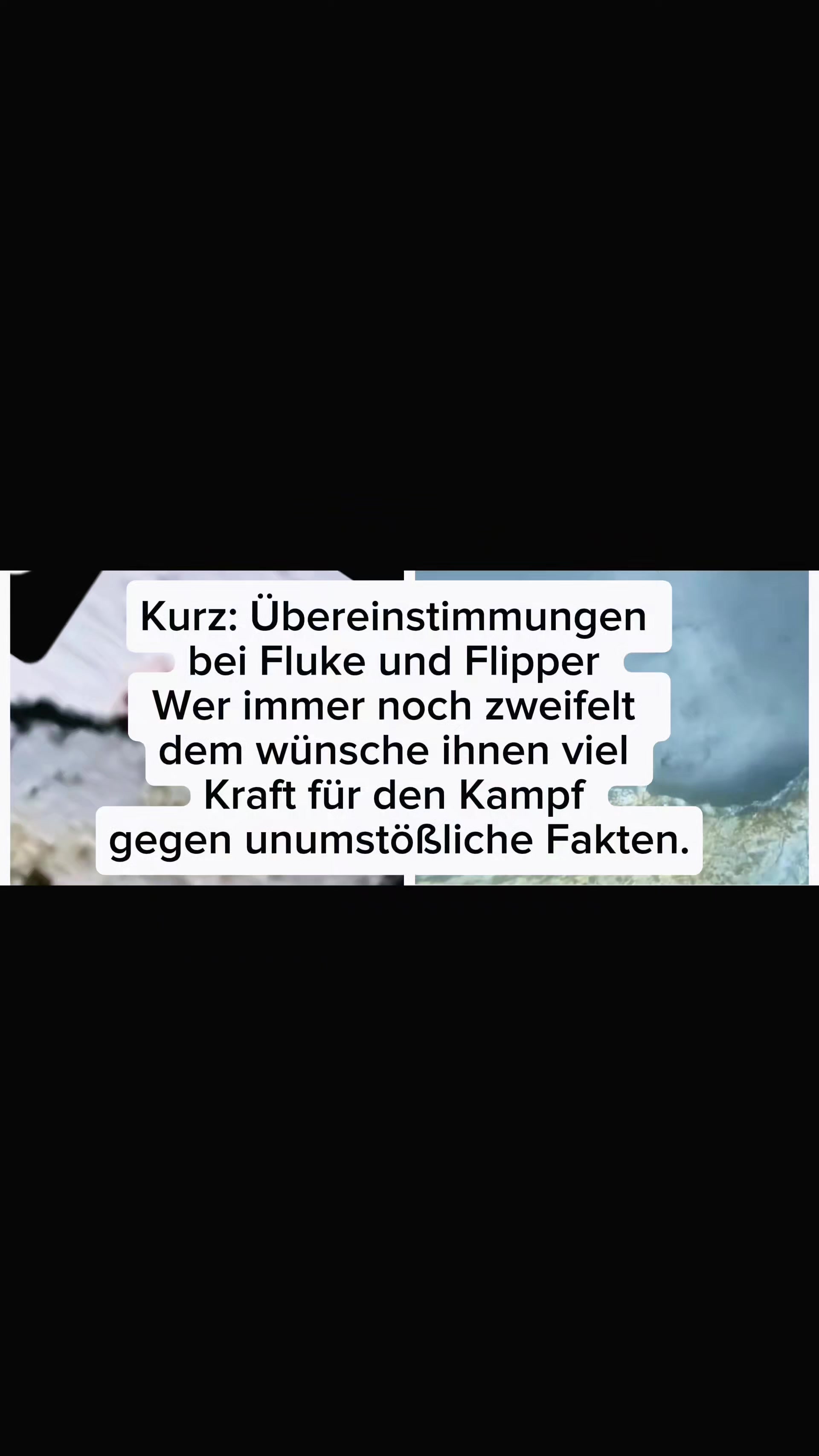 @💚Nadi💚🐋🙏🏼