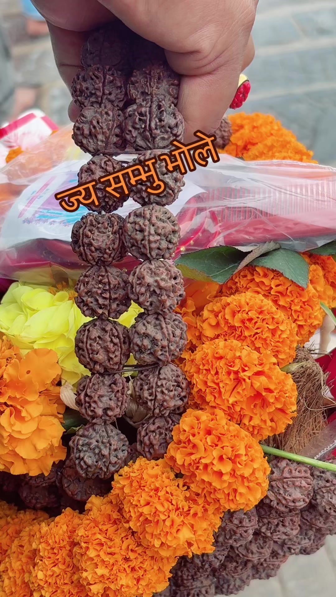 @Tara karki1044