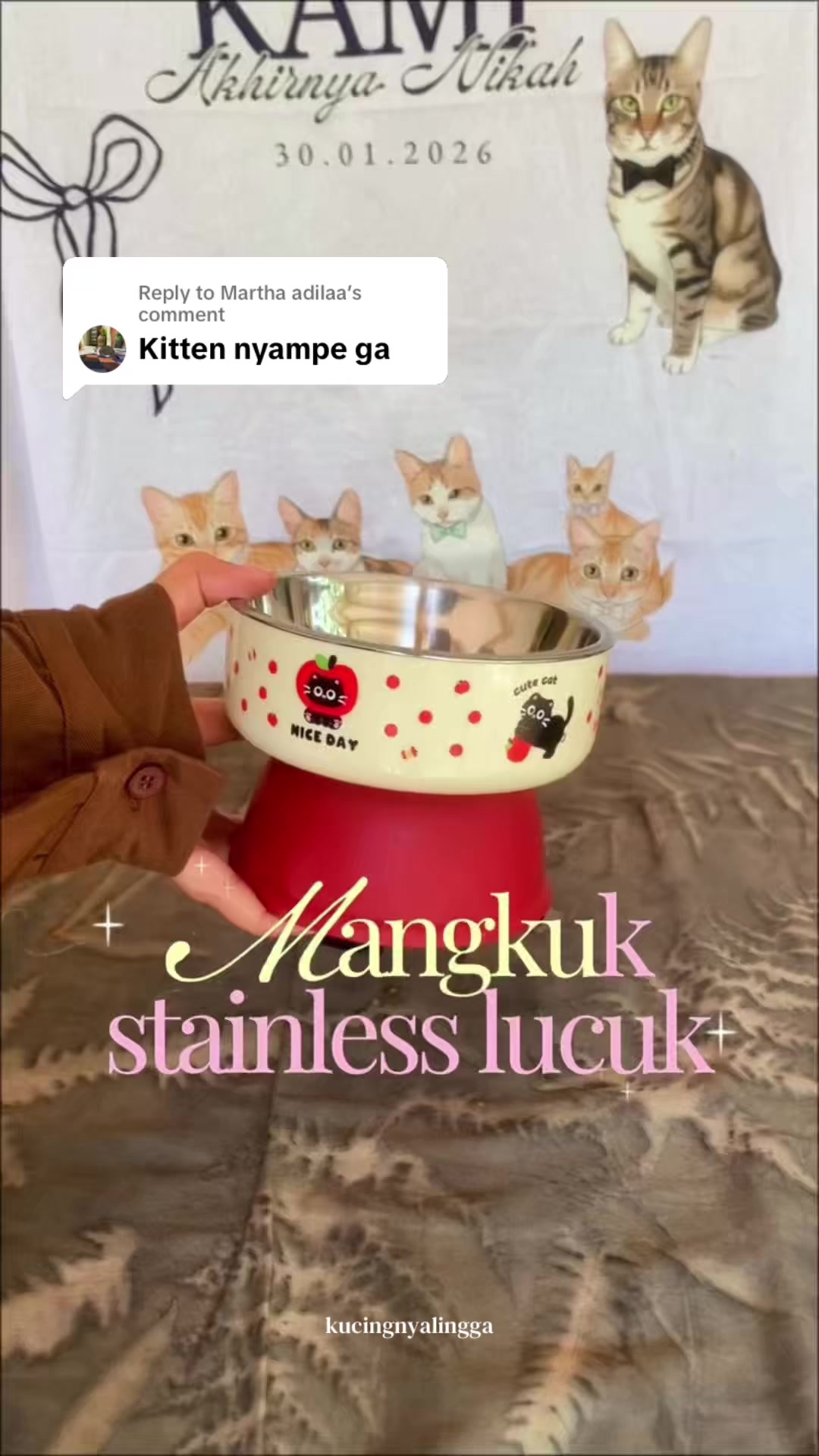 @kucingnyalingga🍉