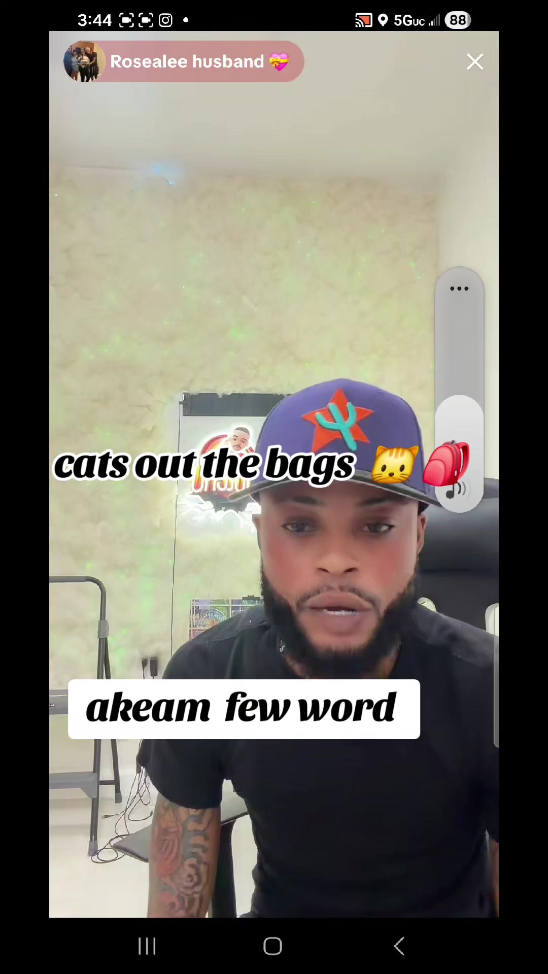 @cats out  the bags 🐱🐱🐱🐱🐱