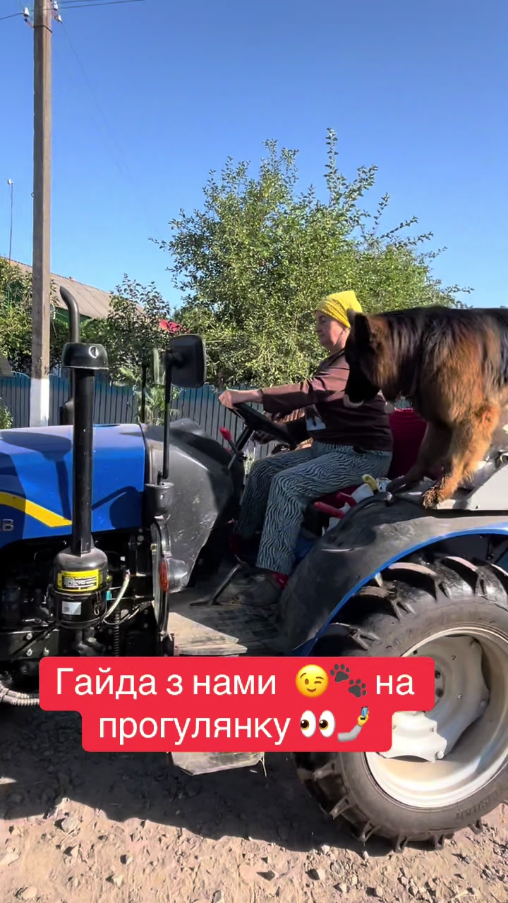 @Наташа Мазур.