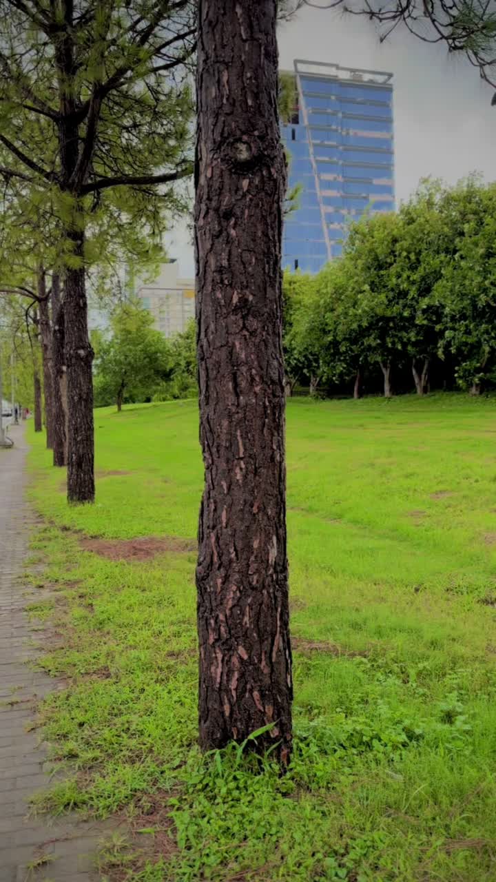@𝙎𝘼𝙢𝙖𝙧 𝙆𝙝𝘼𝙣