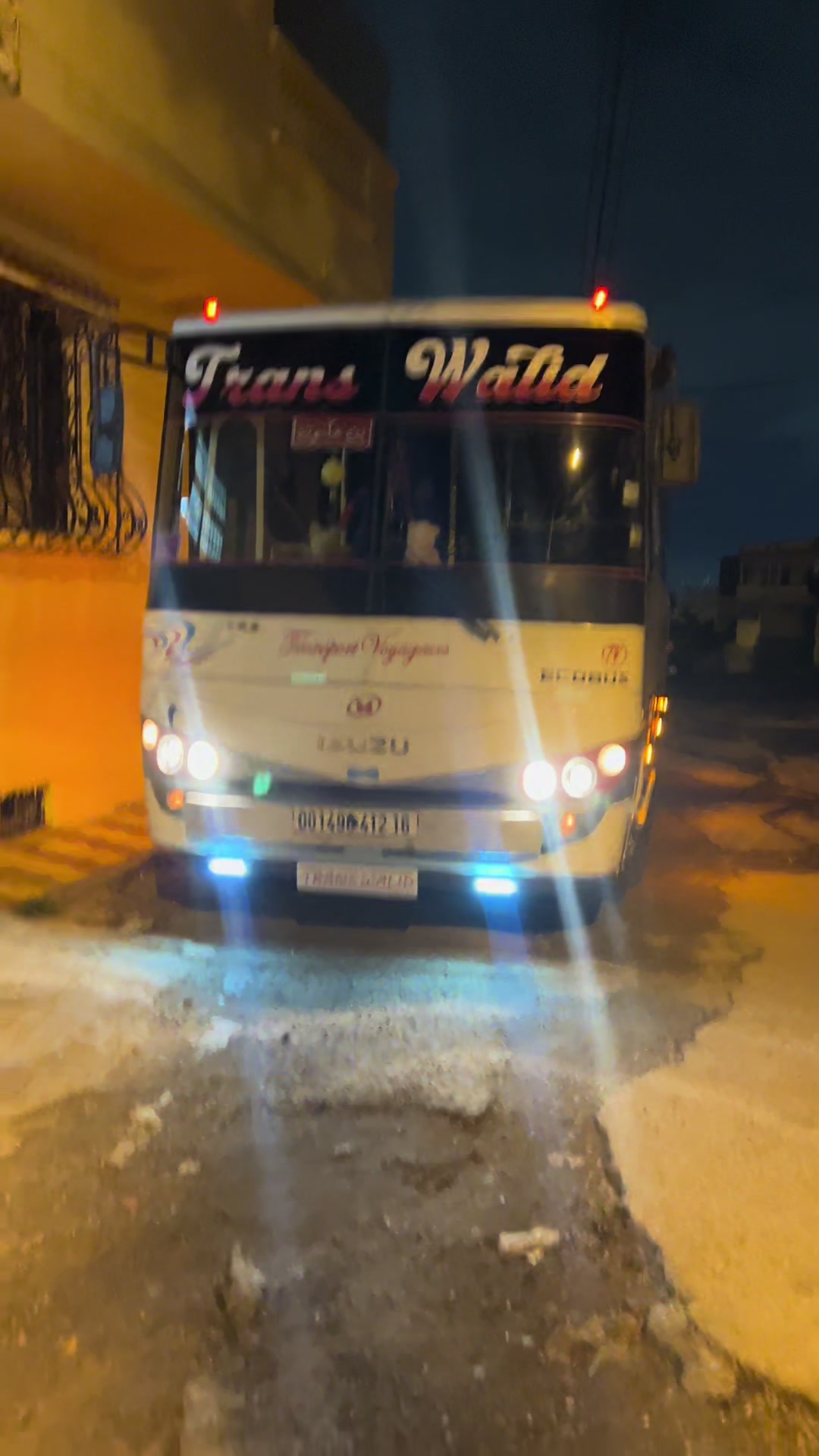 @trans_walid