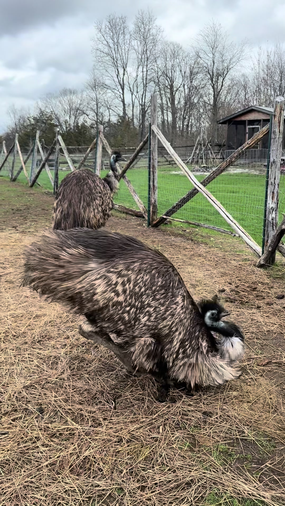 @Useless Farm