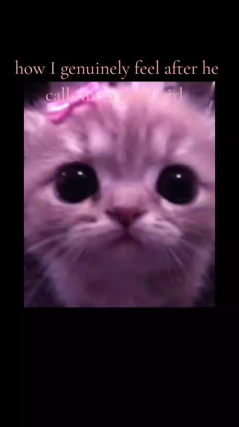 @myboyfriendsgoodgirl😁🐱