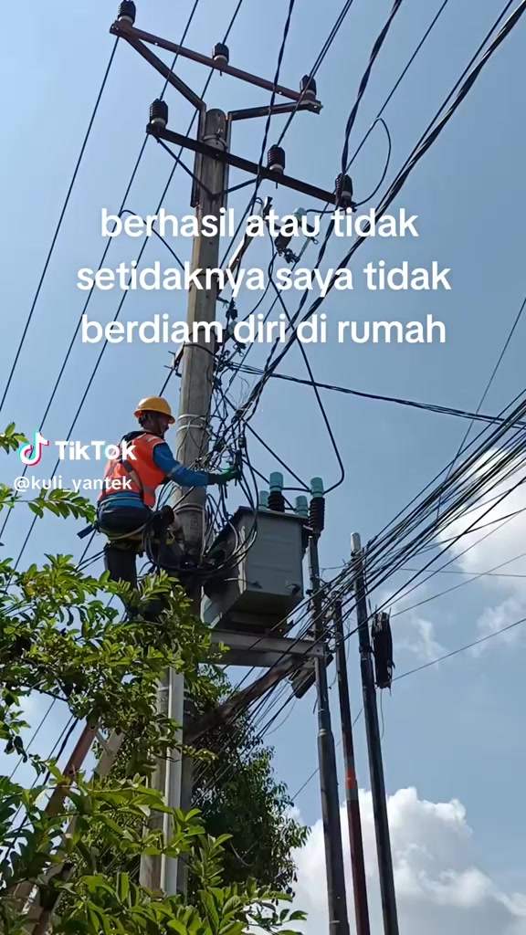 @bongkar donya