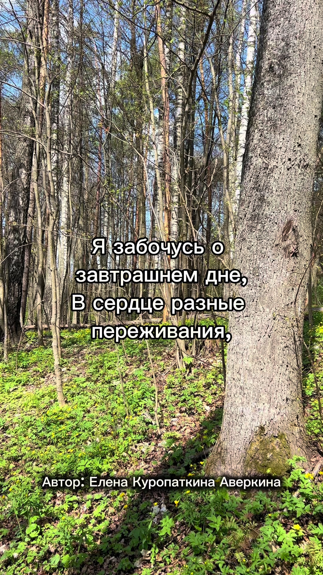 @EKstikh