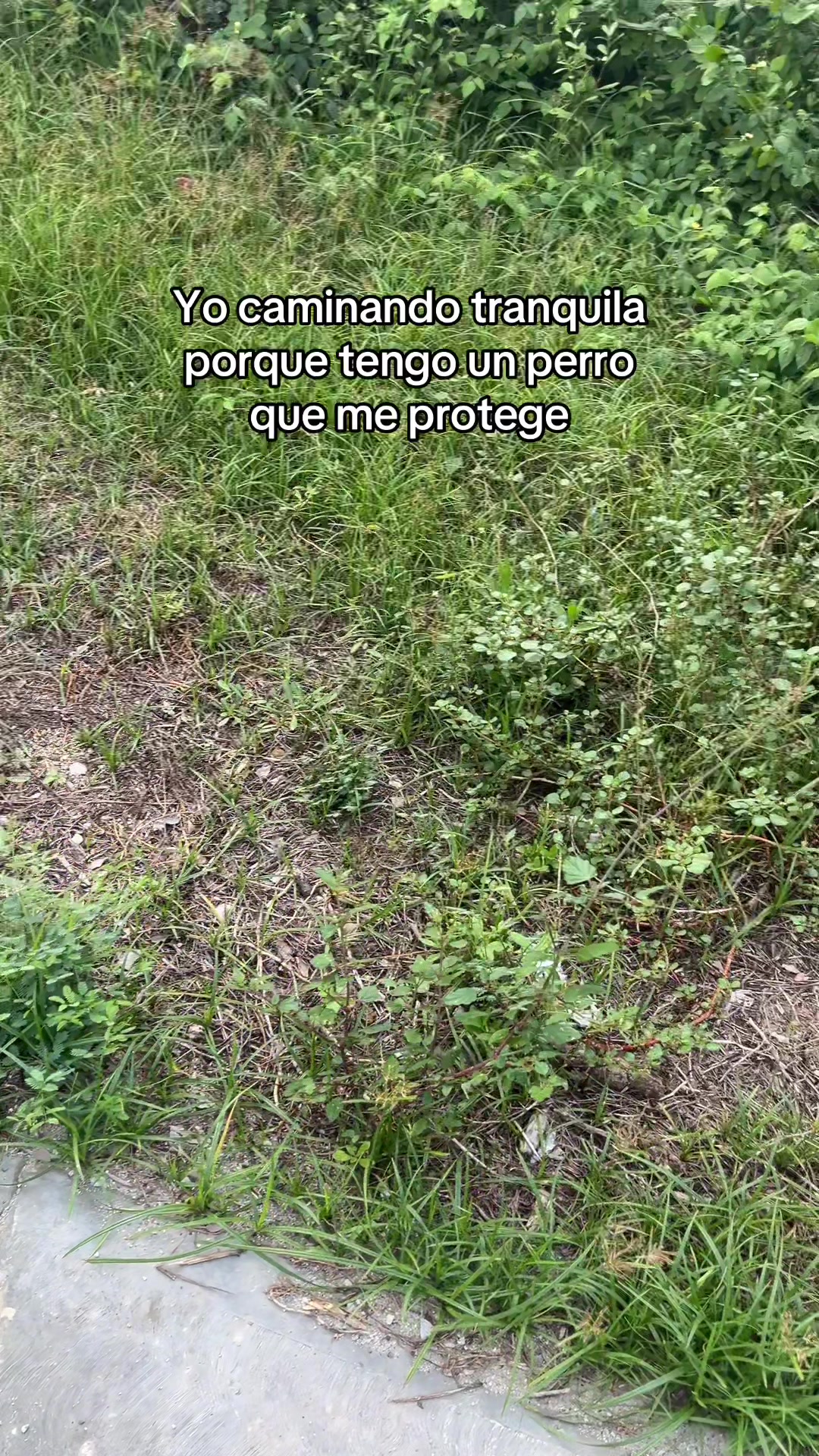 @🌷cely ruiz🌷