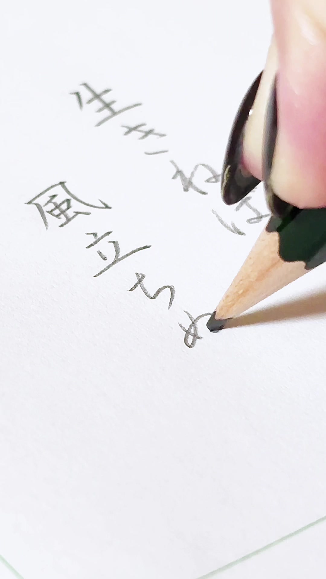 @茉 莉