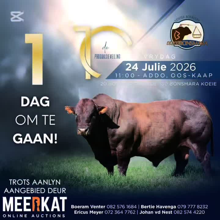 @Meerkat Online Auctions