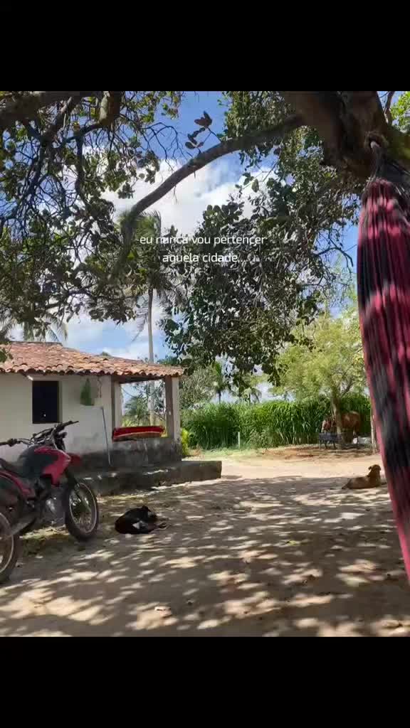 @leh