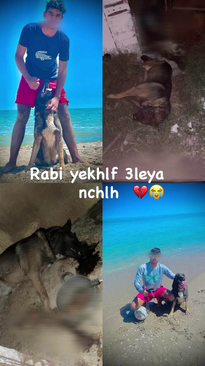 @Wä__lïd__๐ชฌ๐