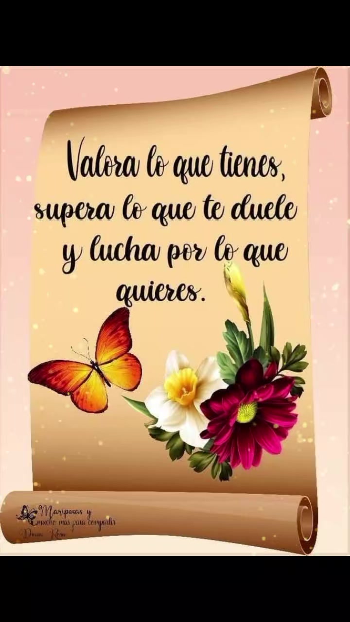 @Elida Santiago