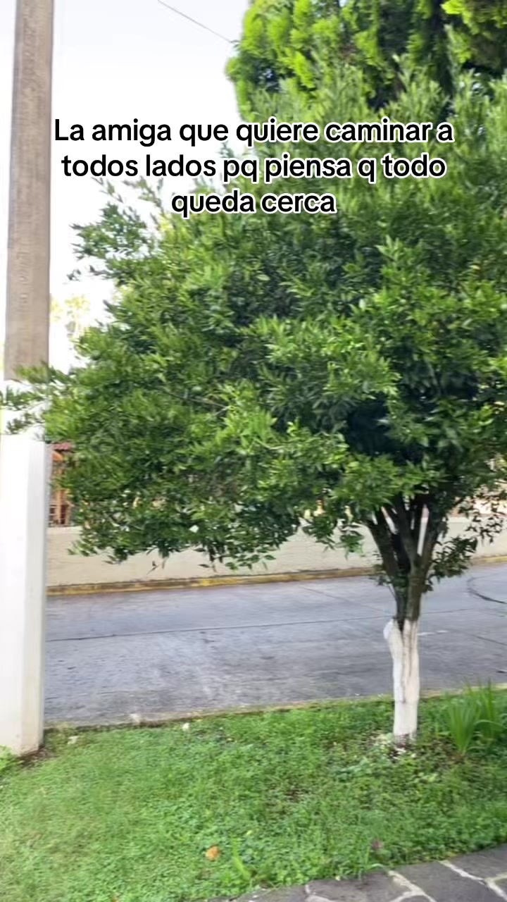 @uzziel
