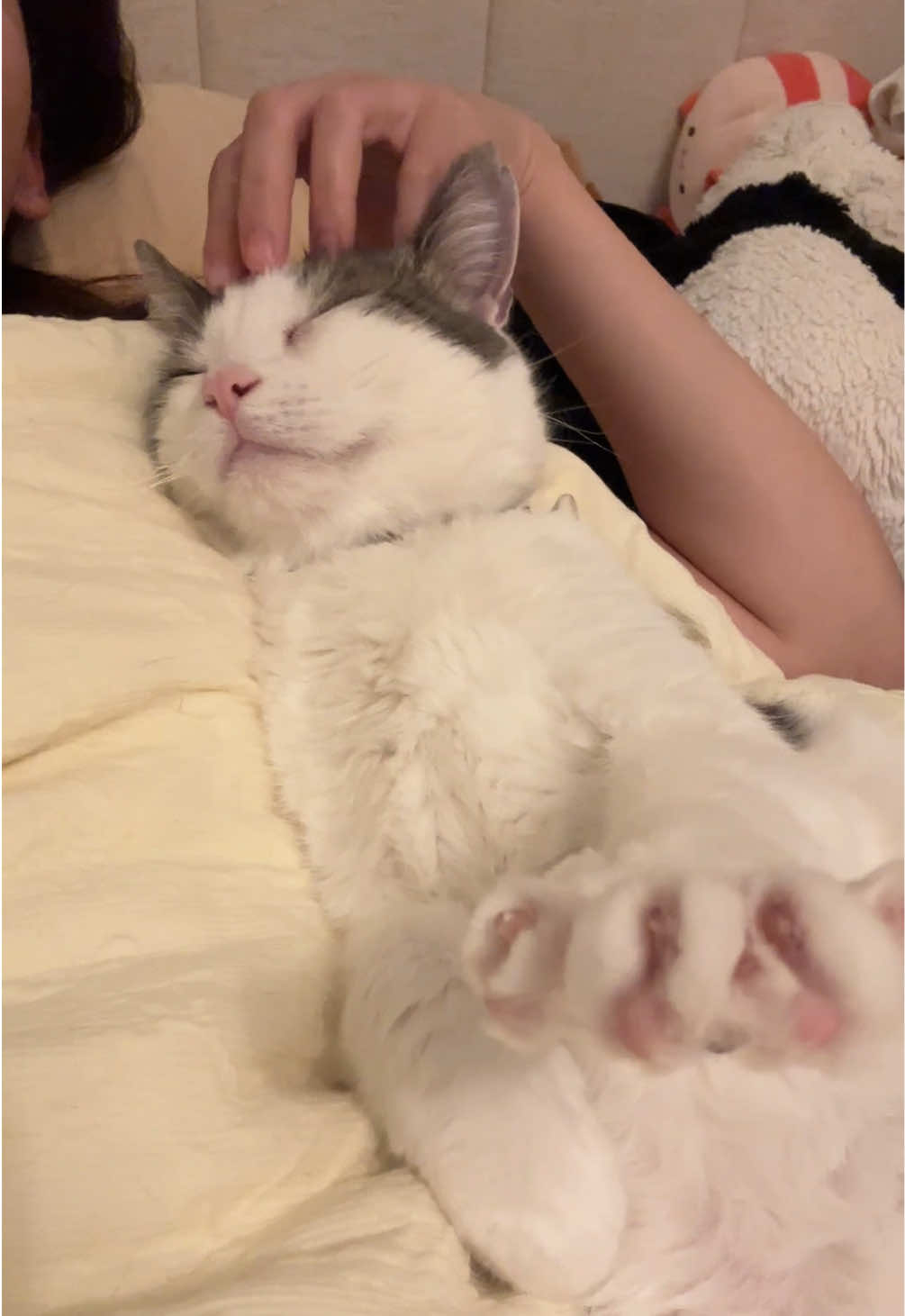 @Mimi Wawa Meow