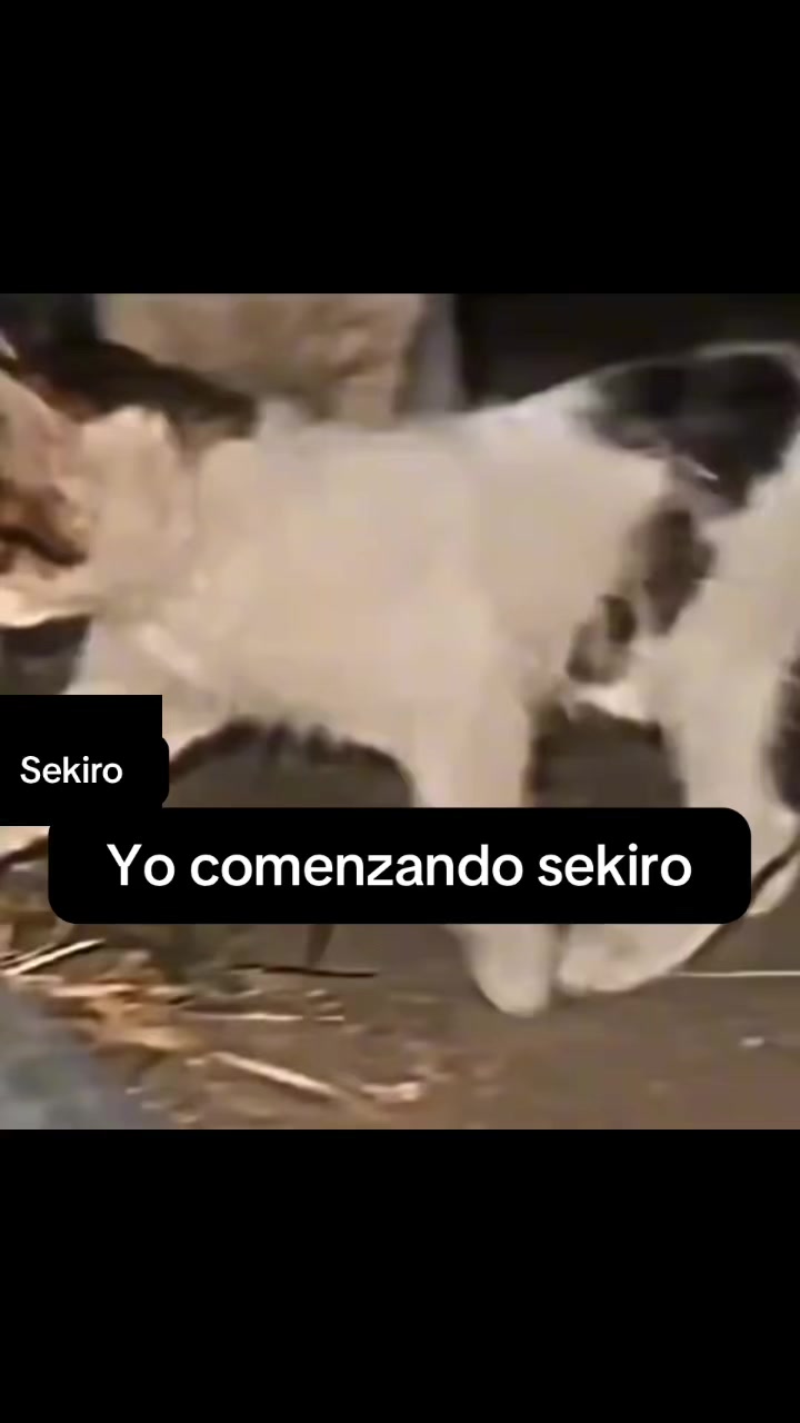 @el_codoscenizos