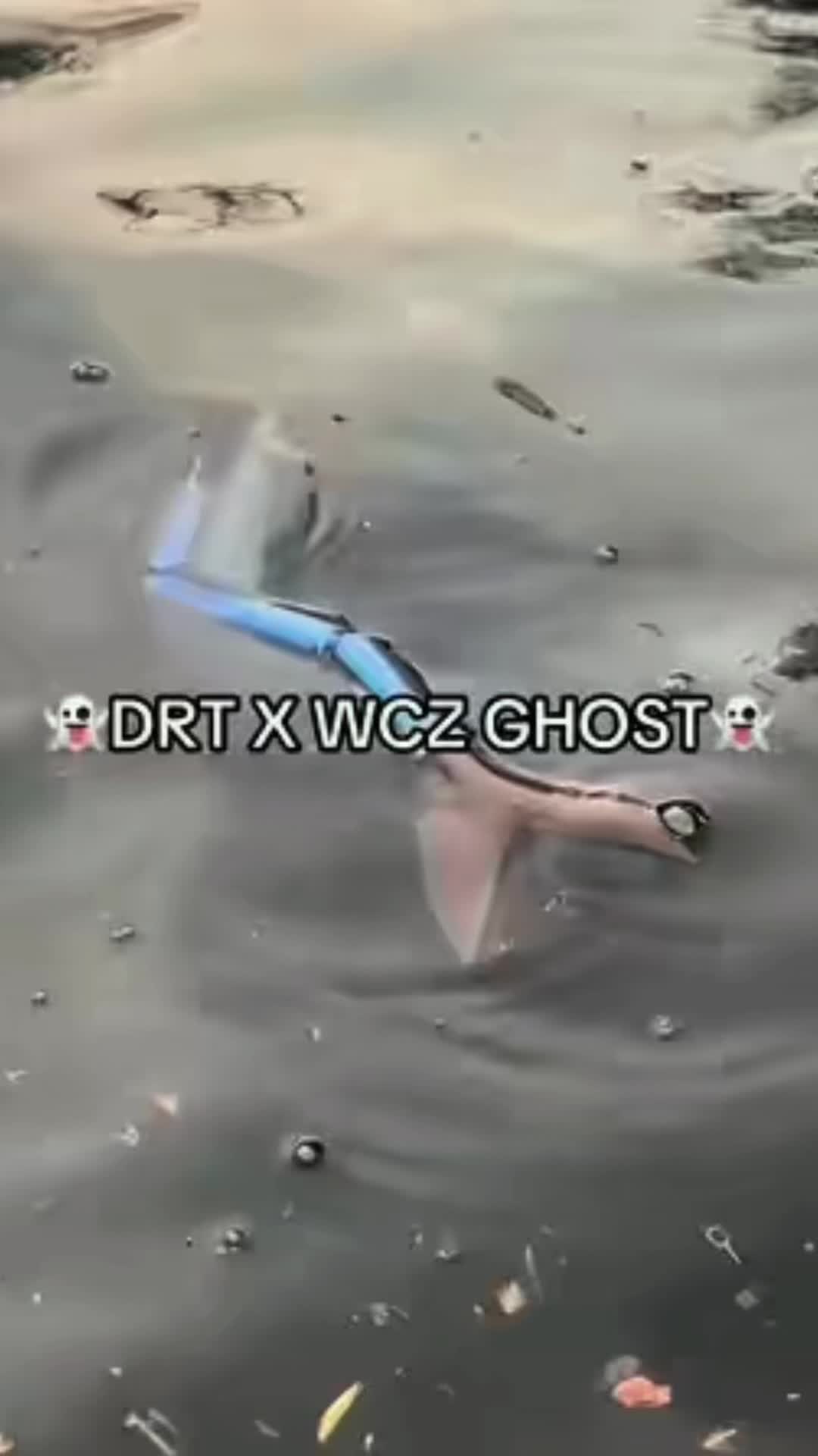 @Swimbait_noah