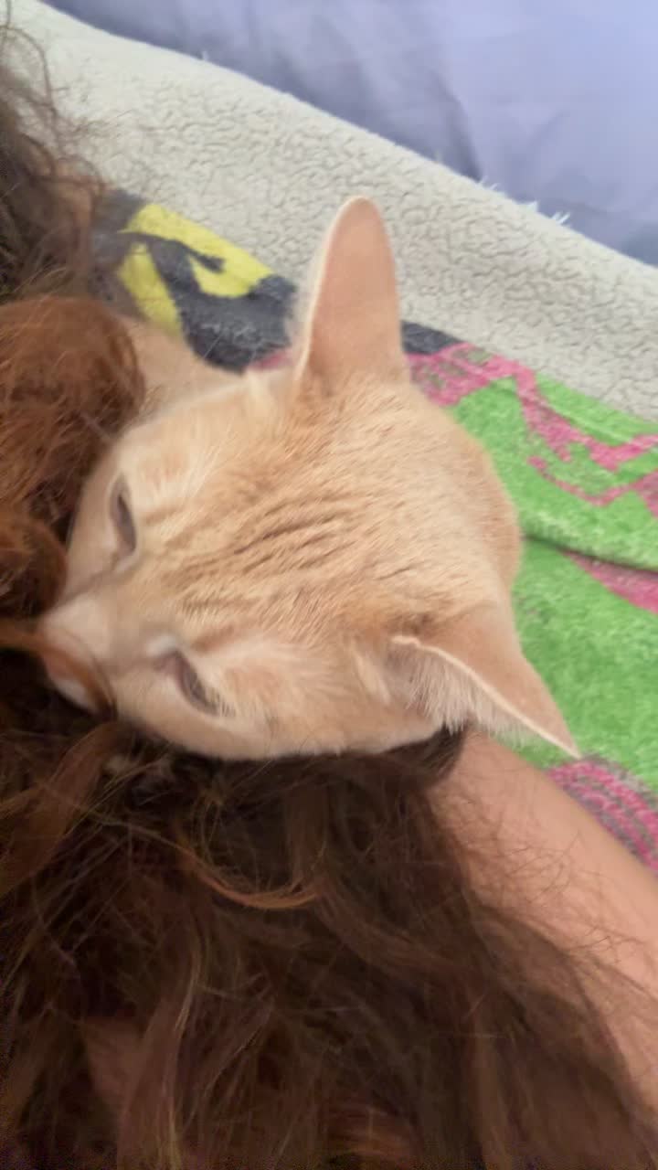 @♡