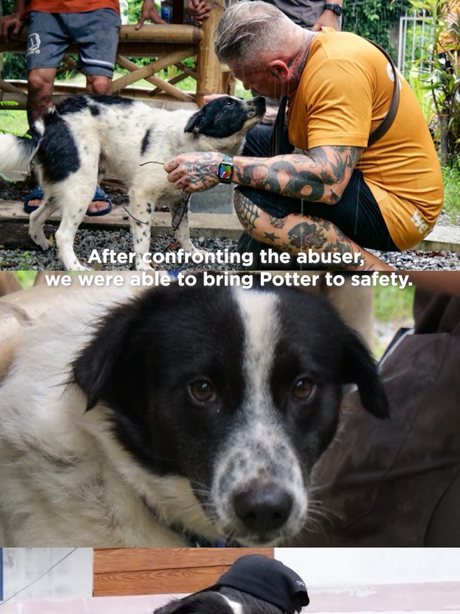 @TMTRD.org