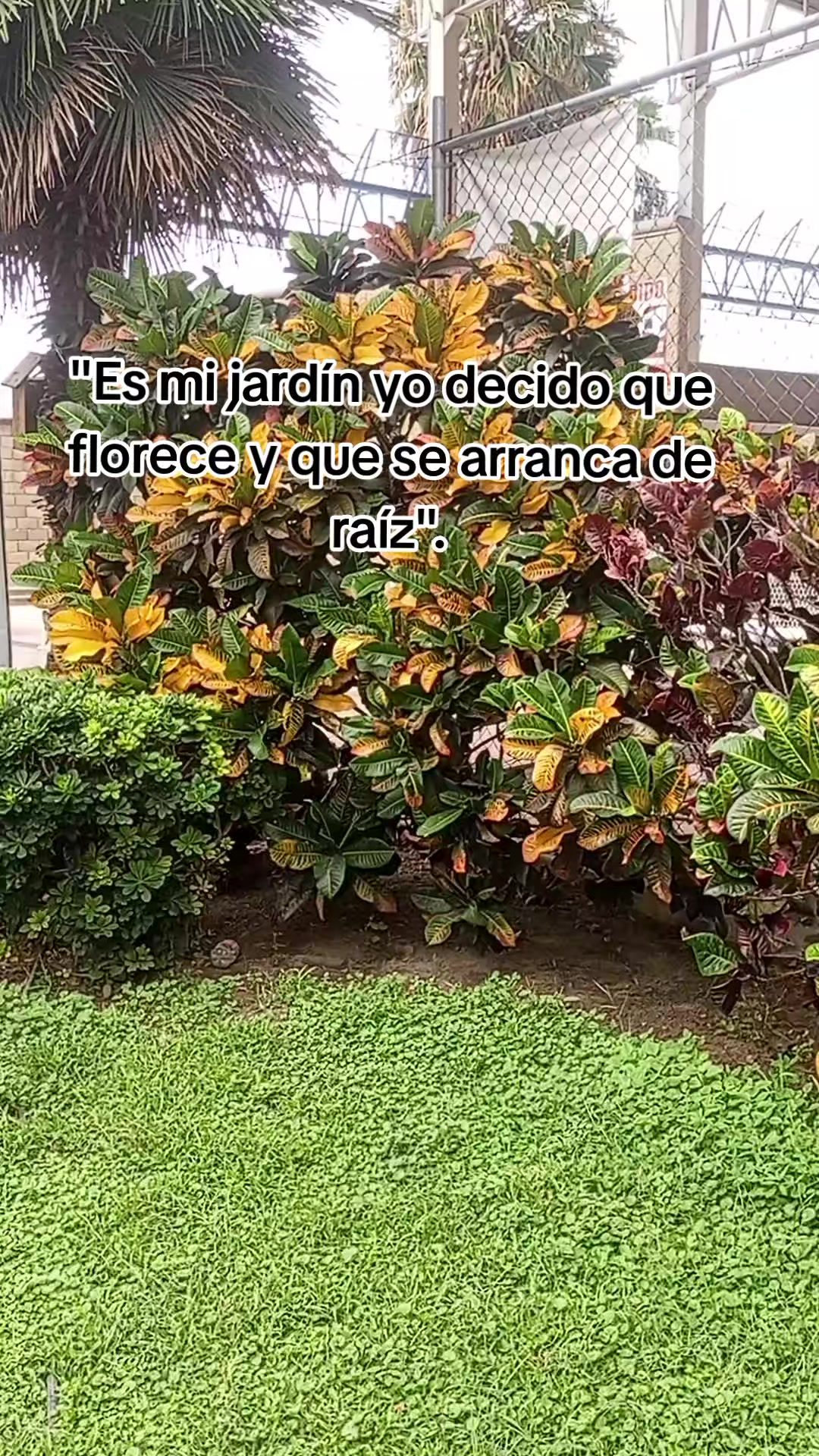 @Carla &bull;Te sigue