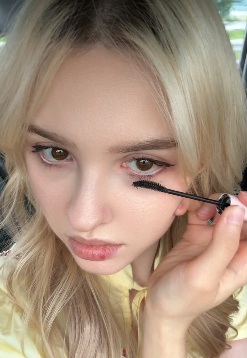 @🐚Elina_리나대장님🤍