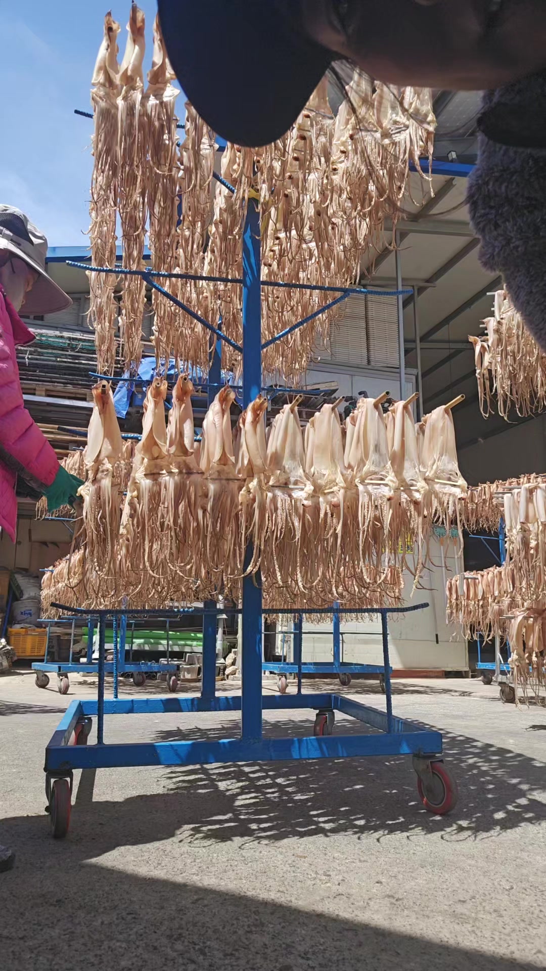 @cố quên tắt cả