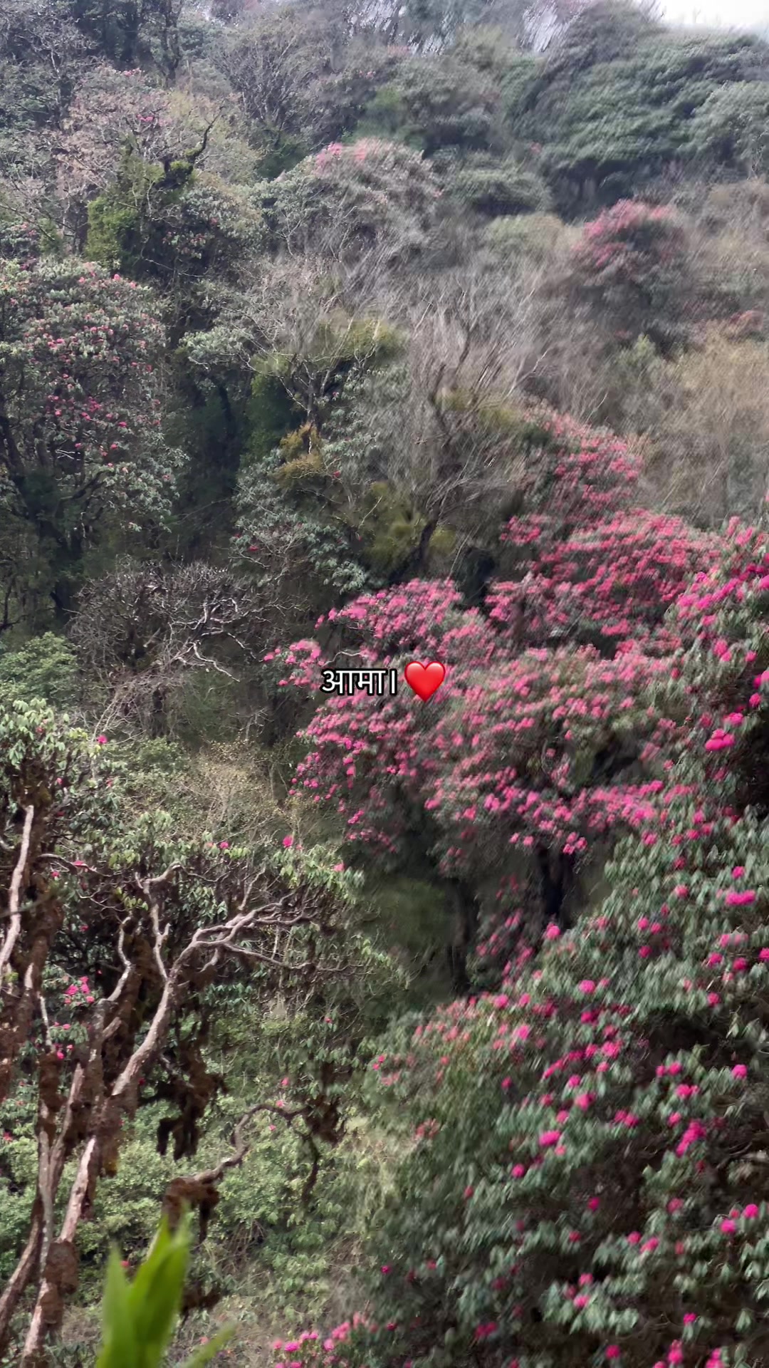 @Mr_ Chhetri🇳🇵