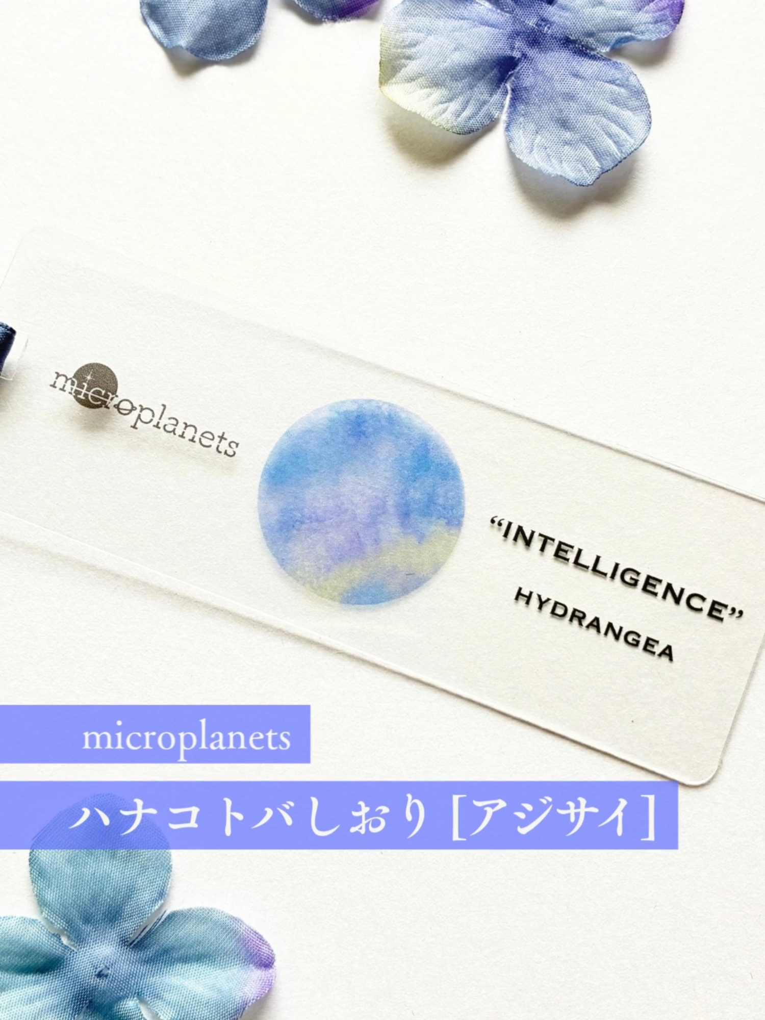 @宙フェス