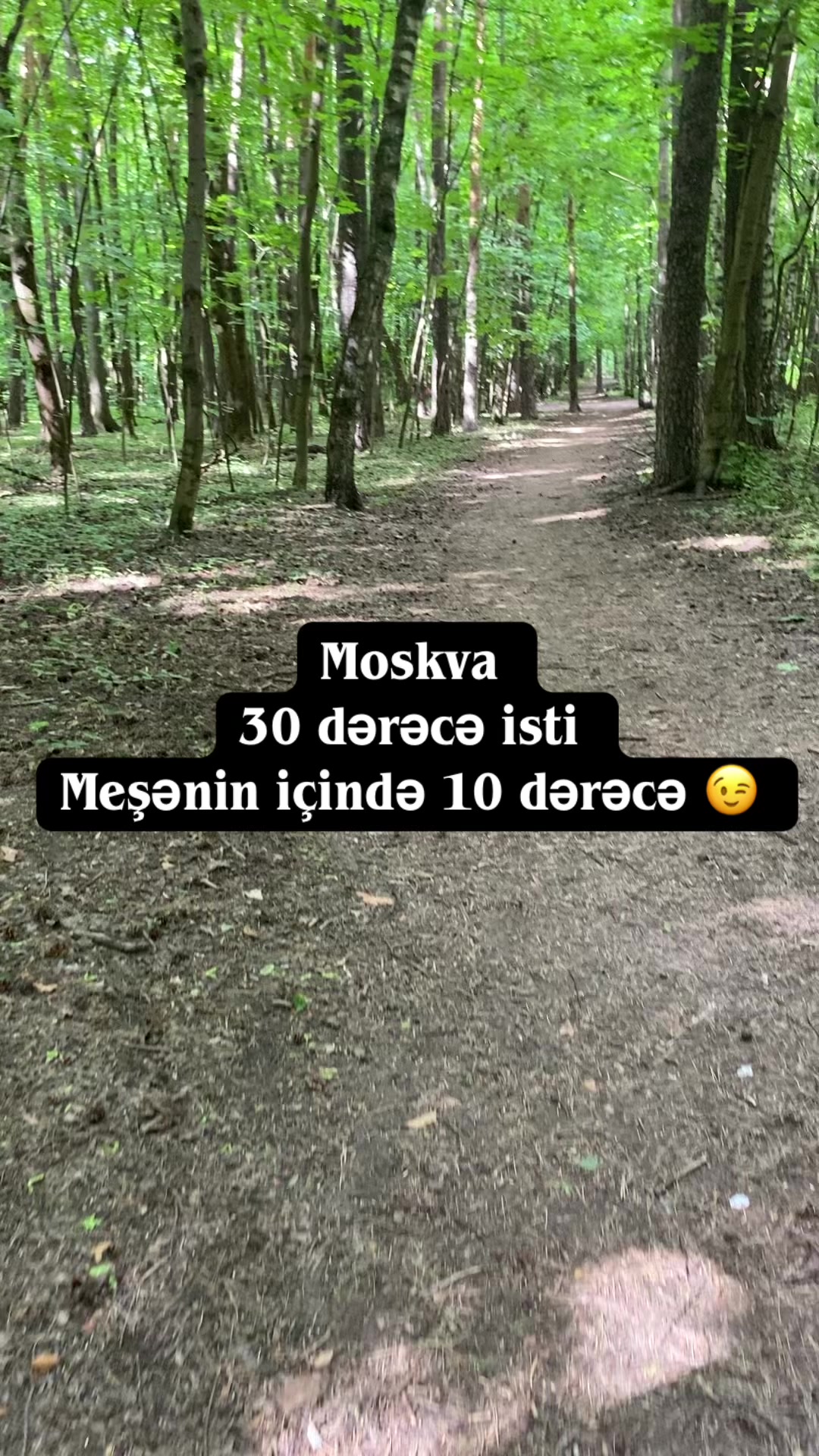 @gagli722